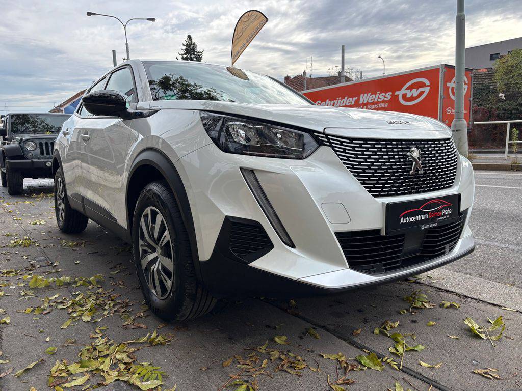 Peugeot 2008 eACTIVE+/2023/50KWH 18S 2P6S-1