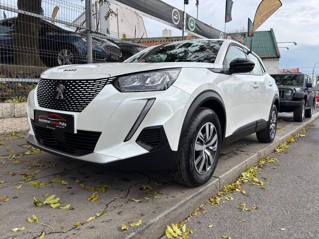 Peugeot 2008 eACTIVE+/2023/50KWH 18S 2P6S-1